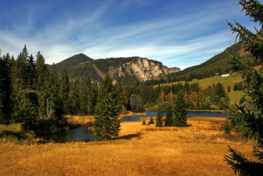 佛山高明区民间私贷攻略：揭秘低成本借贷的秘密