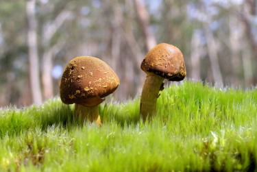 佛山高明区私人老板放款：轻松融资的秘密通道